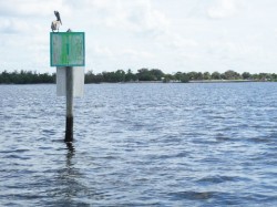 Marker 1 in the channel leading from the Ponce de Leon Park ramp out into Charlotte Harbor