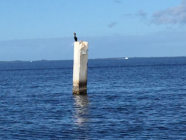 shallow spots and how to navigate on charlotte harbor